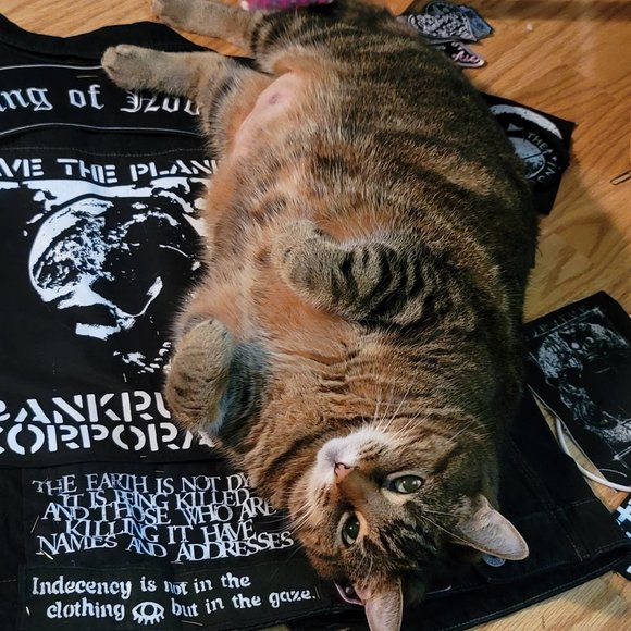 Meet your Posher, Traeic - Picture 3 of 16